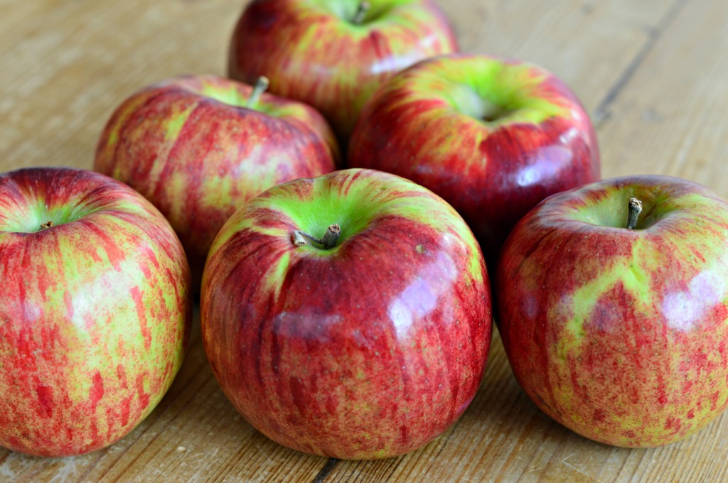 Lucys Apple Crisp.jpg